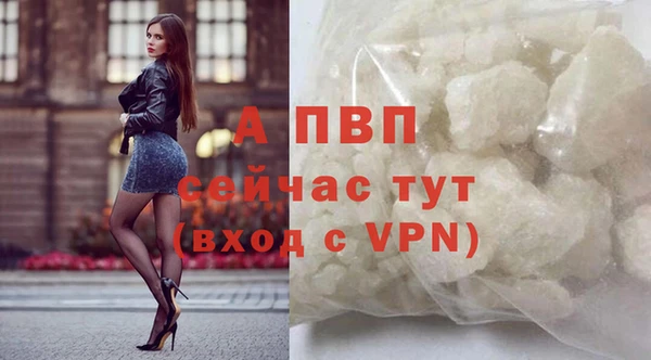 ГАЛЛЮЦИНОГЕННЫЕ ГРИБЫ Богородск