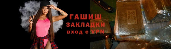 индика Богданович