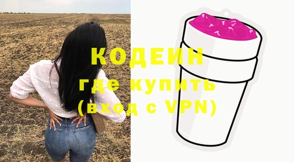 2c-b Каменка