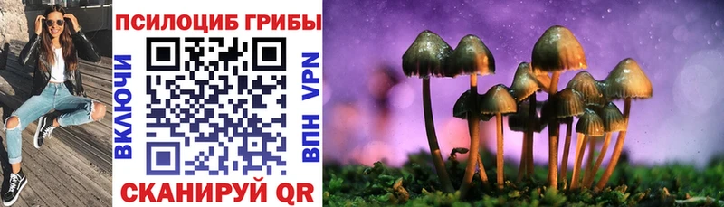mega ТОР  Усть-Кут  Галлюциногенные грибы MAGIC MUSHROOMS 