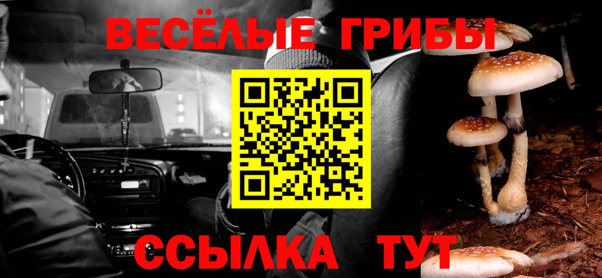 Псилоцибиновые грибы Psilocybine cubensis Усть-Кут